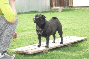 Peggy