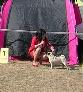 dscn2348