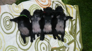 6,