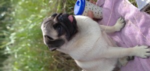 IMG_20200823_145730