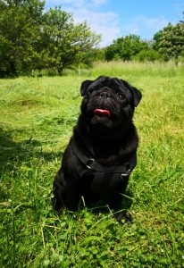 Charles